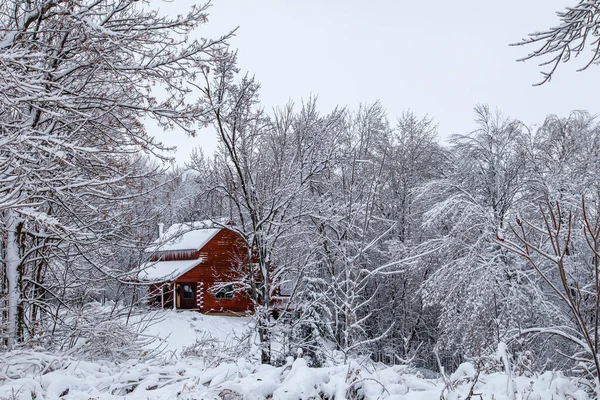Log cabin after a December snow storm in Wisconsin, horizontal