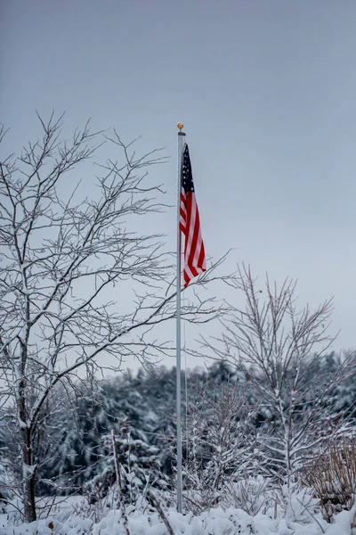 USA flag in a snow covered forest, vertical
