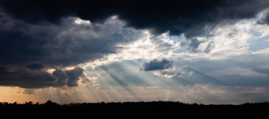 Beyaz ve siyah bulutların karışımından çıkan güneş ışınları orman silueti, panorama