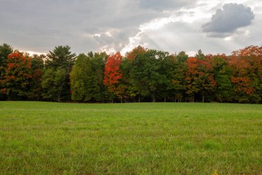 Wisconsin tarım arazileri ve ağaçlar Eylül ayında yatay olarak renk değiştirmeye başlıyor