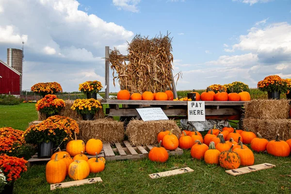 Pumpkins Corn Stalks Mums Straw Bales Sale Wisconsin Horizontal Stock Photo