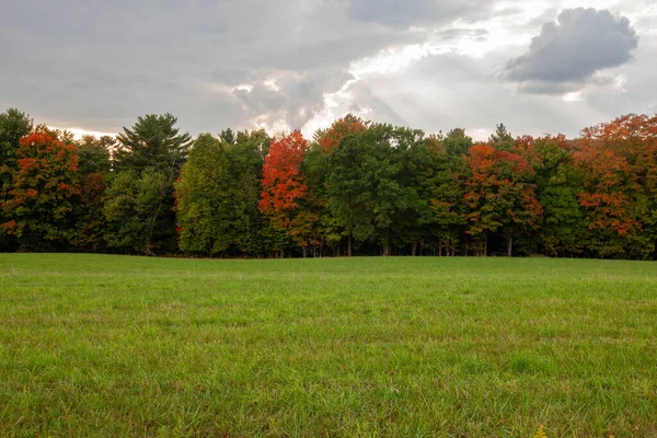 Grunty Rolne Wisconsin Drzewa Zaczynają Zmieniać Kolor Wrześniu Poziomo Obrazek Stockowy