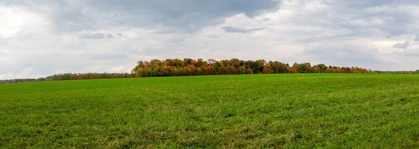 Wisconsin Farmland Trees Starting Change Color September Panorama — Stock Photo, Image