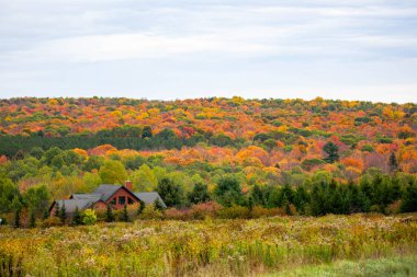 Renkli Wisconsin, bir kır evinin arkasındaki sonbahar ağaçları, yatay.