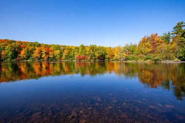 Wisconsin Nehri 'ndeki renkli bir ormanın yansıması, yatay.