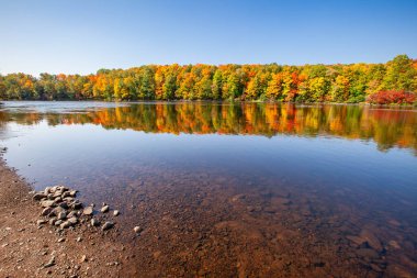 Wisconsin Nehri 'ndeki renkli bir ormanın yansıması, yatay.