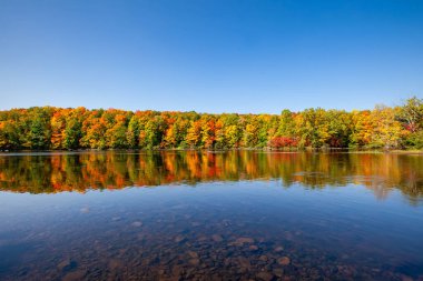 Wisconsin Nehri 'ndeki renkli bir ormanın yansıması, yatay.