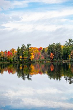Mercer, Wisconsin 'deki Şelale Gölü' nde renkli sonbahar ağaçları.