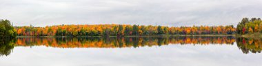 Mercer, Wisconsin, Panorama 'daki Şelale Gölü' nde renkli sonbahar ağaçları