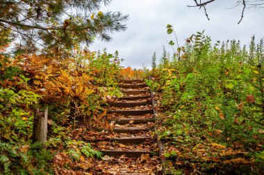 Mercer, Wisconsin 'deki Falls County Parkı' nda bir patikada eski ahşap adımlar.