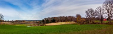 Ekim ayında Wisconsin, Marathon County 'deki Ginseng tarım arazisi, panorama