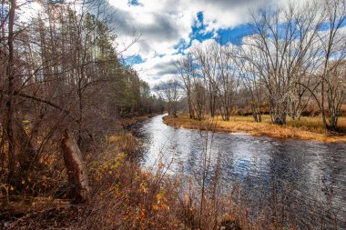 Wisconsin ormanında akan kaburga nehri, yatay.