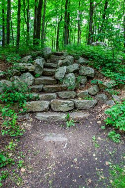 Rib Mountain State Park 'taki kayadan yapılmış merdiven ve Wausau, Wisconsin' deki Granite Peak Kayak alanı.