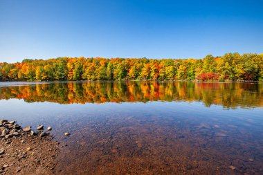 Wisconsin Nehri 'ndeki renkli bir ormanın yansıması, yatay.