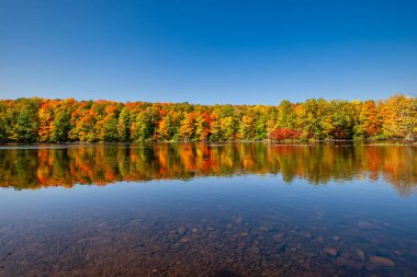 Wisconsin Nehri 'ndeki renkli bir ormanın yansıması, yatay.