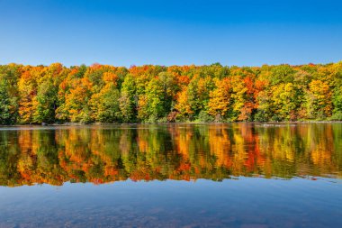 Wisconsin Nehri 'ndeki renkli bir ormanın yansıması, yatay.
