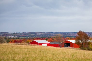 Wisconsin 'in yanındaki renkli ağaçların yanında kırmızı ahırlar, yatay