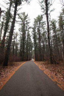 Council Grounds State Park, Merrill Wisconsin Kasım ayında, dikey