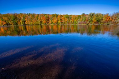 Wisconsin Nehri 'ndeki renkli ağaçlar Ekim ayı başlarında, yatay
