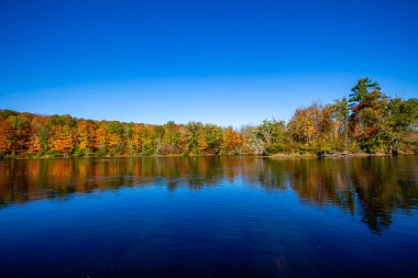 Ekim ayı başlarında Wisconsin Nehri 'ndeki renkli ağaçlar. yatay