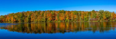 Ekim ayı başlarında Wisconsin Nehri üzerindeki renkli ağaçlar, panorama