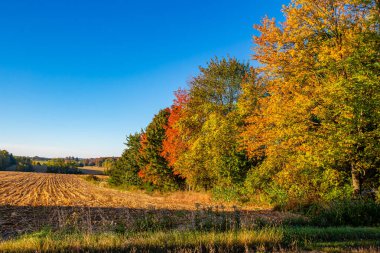 Ekim ayı başlarında renkli Wisconsin ormanı ve tarım arazisi, yatay