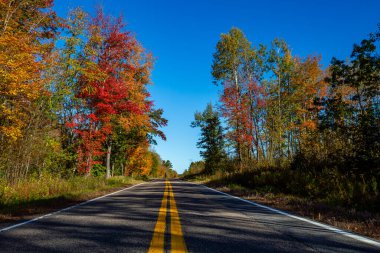 Ekim ayı başlarında renkli bir Wisconsin ormanından geçen 107. Otoyol, yatay