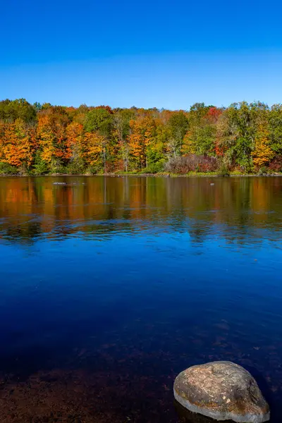 Ekim ayı başlarında Wisconsin Nehri 'ndeki renkli ağaçlar dikey