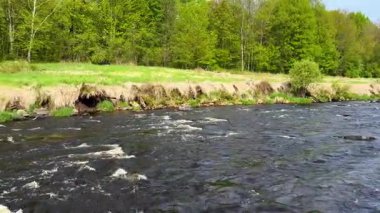 Wisconsin şehir merkezindeki Prairie Nehri Bir bahar günü ağır çekimde