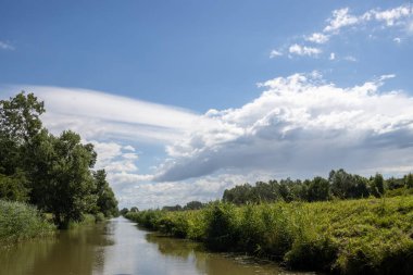 Bata 'nın Morava bölgesi ile Slovakya arasında inşa ettiği kanal. Güzergahı çevreleyen güzel yeşillikler, ağaçlar, çalılar, çimenler ve çiçekler. Beyaz bulutlu mavi gökyüzü. Bata Kanalı, Çek ve Slovakya Cumhuriyeti