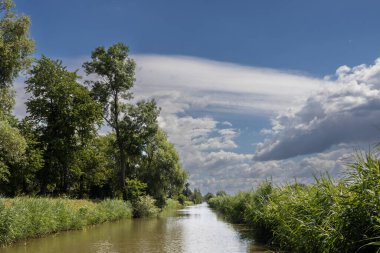 Bata 'nın Morava bölgesi ile Slovakya arasında inşa ettiği kanal. Güzergahı çevreleyen güzel yeşillikler, ağaçlar, çalılar, çimenler ve çiçekler. Beyaz bulutlu mavi gökyüzü. Bata Kanalı, Çek ve Slovakya Cumhuriyeti