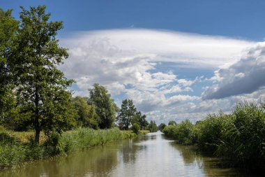 Bata 'nın Morava bölgesi ile Slovakya arasında inşa ettiği kanal. Güzergahı çevreleyen güzel yeşillikler, ağaçlar, çalılar, çimenler ve çiçekler. Beyaz bulutlu mavi gökyüzü. Bata Kanalı, Çek ve Slovakya Cumhuriyeti