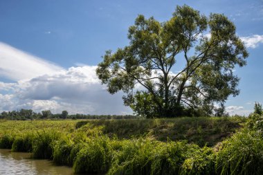Bata 'nın Morava bölgesi ile Slovakya arasında inşa ettiği kanal. Güzergahı çevreleyen güzel yeşillikler, ağaçlar, çalılar, çimenler ve çiçekler. Beyaz bulutlu mavi gökyüzü. Bata Kanalı, Çek ve Slovakya Cumhuriyeti