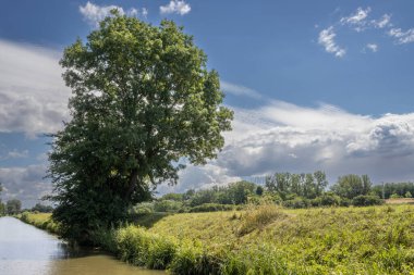 Bata 'nın Morava bölgesi ile Slovakya arasında inşa ettiği kanal. Güzergahı çevreleyen güzel yeşillikler, ağaçlar, çalılar, çimenler ve çiçekler. Beyaz bulutlu mavi gökyüzü. Bata Kanalı, Çek ve Slovakya Cumhuriyeti