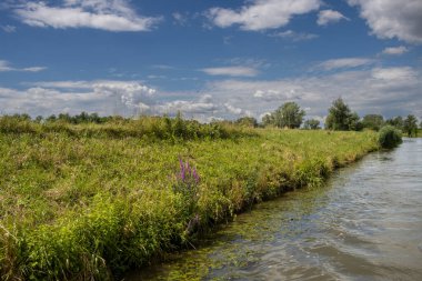 Bata 'nın Morava bölgesi ile Slovakya arasında inşa ettiği kanal. Güzergahı çevreleyen güzel yeşillikler, ağaçlar, çalılar, çimenler ve çiçekler. Beyaz bulutlu mavi gökyüzü. Bata Kanalı, Çek ve Slovakya Cumhuriyeti