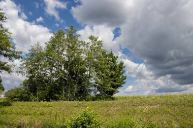 Bata 'nın Morava bölgesi ile Slovakya arasında inşa ettiği kanal. Güzergahı çevreleyen güzel yeşillikler, ağaçlar, çalılar, çimenler ve çiçekler. Beyaz bulutlu mavi gökyüzü. Bata Kanalı, Çek ve Slovakya Cumhuriyeti