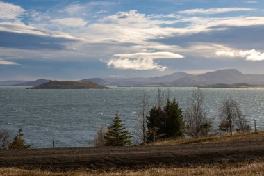 Rare trees at the island, growing at the banks of the famous big lake Thingvallavatn. Mountains in the background. Cloudy sky. Grafningsvegur Efri, Iceland.