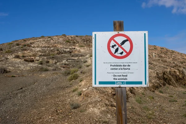 Board in spanish and english language with prohibition of feeding the animals. Hill in the background. Blue sky with light white cloud. Mirador Astronomico (Astronimical Viewpoint), Fuerteventura, Canary Islands