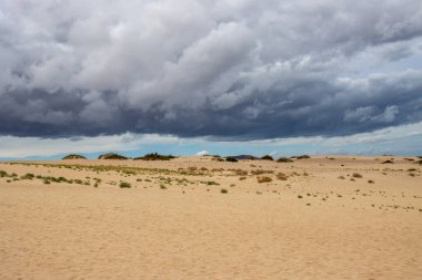 Doğal parkın bir parçası olarak eşsiz bir Avrupa çölü. Kış mevsiminde kum tepelerinin üzerinde fırtına bulutları. Corralejo, Fuerteventura, Kanarya Adaları, İspanya.