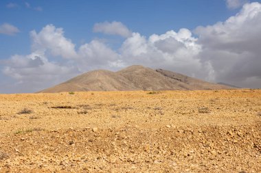 Çölün taşları ve kayaları, adanın merkezinde yer alıyor. Güneş ışığındaki sarı renk. Arka plandaki dağ. Beyaz bulutlu mavi gökyüzü. Almacigo, Fuerteventura, Kanarya Adası.