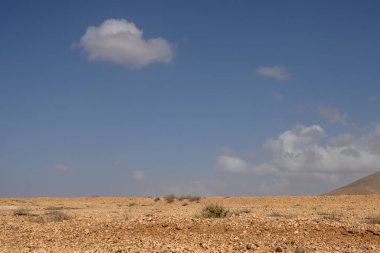 Çölün taşları ve kayaları, adanın merkezinde yer alıyor. Güneş ışığındaki sarı renk. Arka plandaki dağ. Beyaz bulutlu mavi gökyüzü. Almacigo, Fuerteventura, Kanarya Adası.