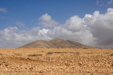 Çölün taşları ve kayaları, adanın merkezinde yer alıyor. Güneş ışığındaki sarı renk. Arka plandaki dağ. Beyaz bulutlu mavi gökyüzü. Almacigo, Fuerteventura, Kanarya Adası.