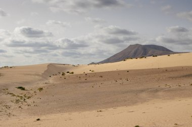 Kışın eşsiz Avrupa çölü. Bitkilerin yeşil noktaları. Arka plandaki dağ. Bulutlu gökyüzü. Park Natural Dunas de Corralejo, Fuerteventura, Kanarya Adaları, İspanya.