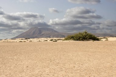 Kışın eşsiz Avrupa çölü. Bitkilerin yeşil noktaları. Arka plandaki dağ. Bulutlu gökyüzü. Park Natural Dunas de Corralejo, Fuerteventura, Kanarya Adaları, İspanya.