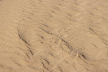 Eşsiz bir Avrupa çölünde kumun dokusu. Rüzgarla oluşan dalgalı yüzey. Park Natural Dunas de Corralejo, Fuerteventura, Kanarya Adaları, İspanya.