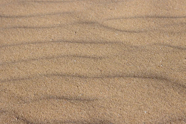 Tekstura Piasku Unikalnej Europejskiej Pustyni Falista Powierzchnia Wykonana Przez Wiatr — Zdjęcie stockowe