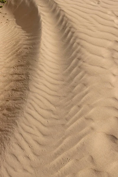 Tekstura Piasku Unikalnej Europejskiej Pustyni Falista Powierzchnia Wykonana Przez Wiatr — Zdjęcie stockowe
