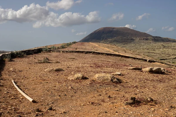 stock image Sandy soil with stones and rocks. Mountain in the background. Light green color of the new plants growing in the winter. Blue sky with white clouds. Villaverde, Fuerteventura, Canary Islands, Spain.