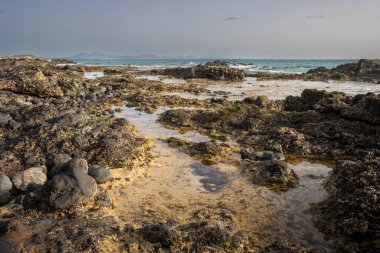 Avrupa 'nın eşsiz çölünün Atlantik okyanusuyla buluştuğu kıyı şeridinin kayalık kıyısı. Küçük dalgalar, mavi gökyüzü. Park Doğal Dunas de Corralejo, Fuerteventura, Kanarya Adaları.