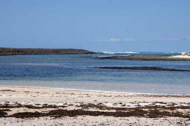 Beyaz sahilli Atlantik Okyanusu sahili, patlamış mısır şeklinde parçalanmış mercanlar. Açık beyaz bulutlu mavi gökyüzü. Playa de Majanicho, Fuerteventura 'nın kuzeyi, Kanarya Adaları, İspanya.